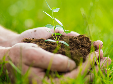 Understanding your soil