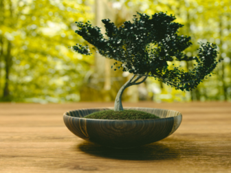 Getting started with bonsai