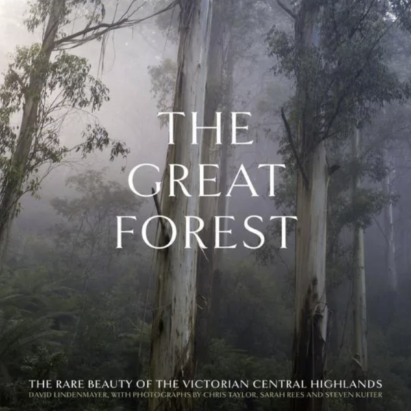 Meet The Photographer Of 'The Great Forest', Chris Taylor