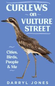Curlews on Vulture Street by Darryl N Jones