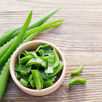 Cooking with succulents 