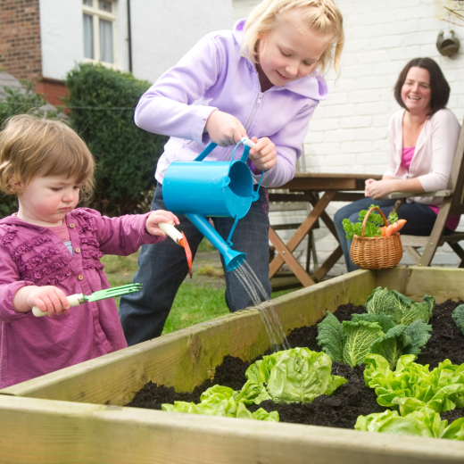 Gully Gardners: Preparing for Summer Veggies Workshop