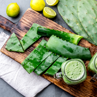 Cooking with succulents